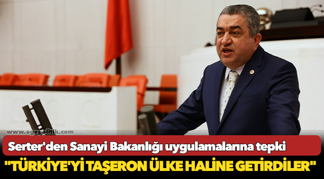 Serter, Sanayi Bakanlığı bütçesi üzerine konuştu