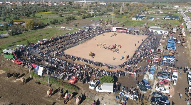 Bayındır Yeşilova Deve Güreşi Şenliği Yapıldı