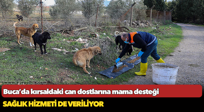 Buca’da kırsaldaki can dostlarına mama desteği