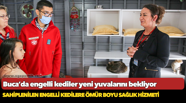 Buca'da sahiplenilen engelli kedilere ömür boyu sağlık hizmeti
