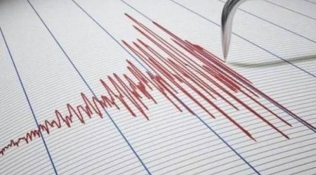 Endonezya&#039;da 7,3 büyüklüğünde deprem: Tsunami uyarısı yapıldı