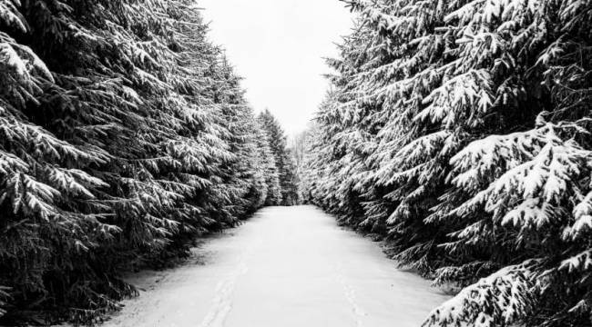 Kar nedeniyle onlarca ilçede eğitime ara verildi