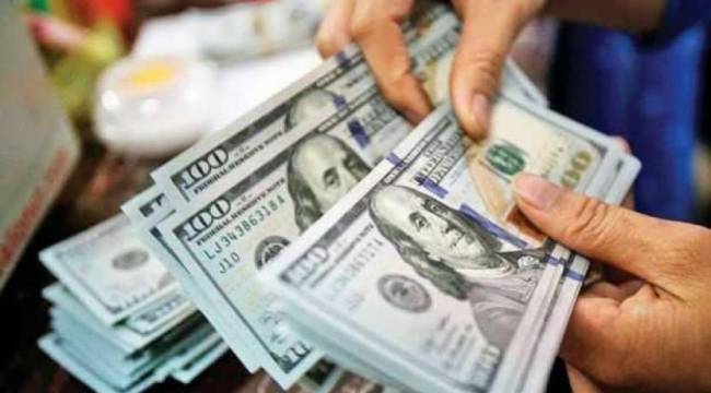 Merkez Bankası'nın 5. müdahalesinin büyüklüğü belli oldu