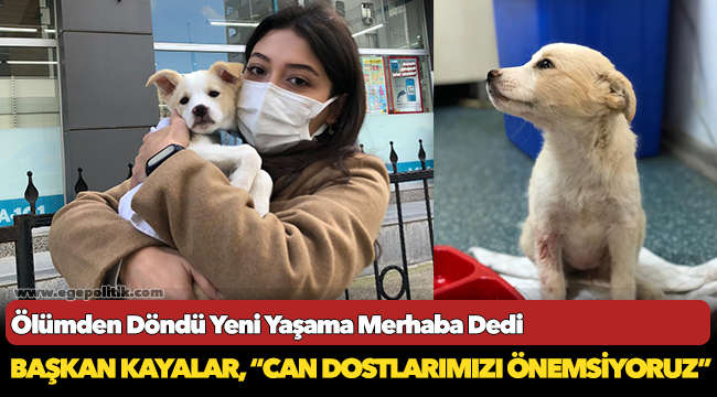 Ölümden Döndü Yeni Yaşama Merhaba Dedi