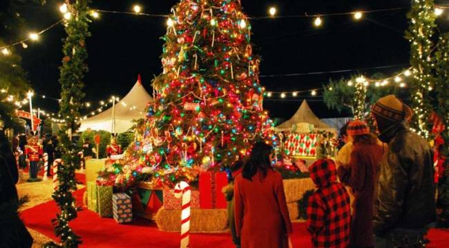 'Omicron' uyarısı yaptı: Yılbaşında kısıtlama olacak mı?