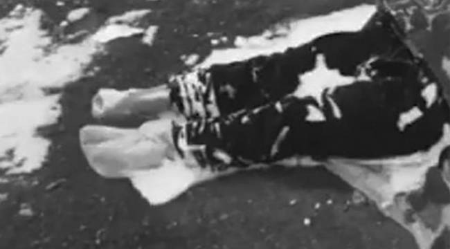 Afgan anne Türkiye sınırında donarak yaşamını yitirdi