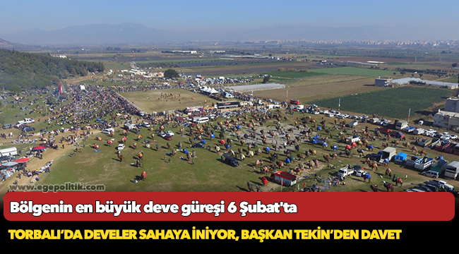 Bölgenin en büyük deve güreşi 6 Şubat&#039;ta