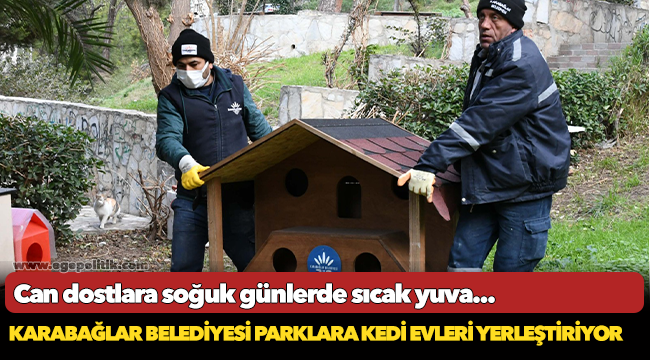 Can dostlara soğuk günlerde sıcak yuva...