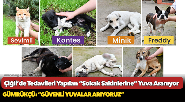 Çiğli’de Tedavileri Yapılan “Sokak Sakinlerine” Yuva Aranıyor