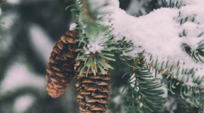 Gaziantep'te eğitime bir gün ara verildi