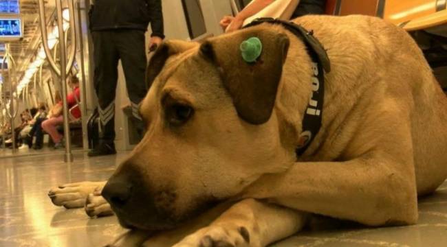 İmamoğlu Boji'yi Ömer Koç'a verdiklerini duyurdu