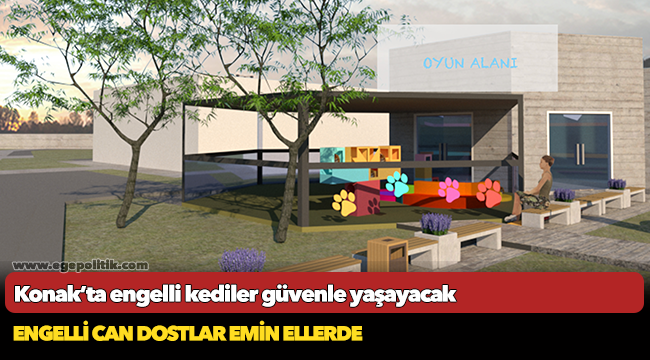 Konak’ta engelli kediler  Güvenle yaşayacak