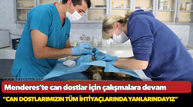 Menderes’te can dostlar için çalışmalara devam