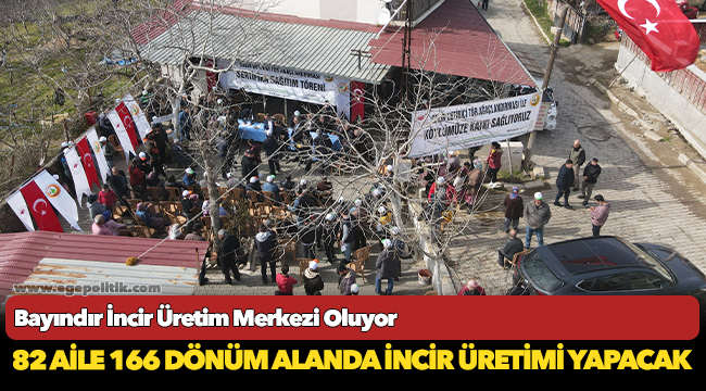 Bayındır İncir Üretim Merkezi Oluyor