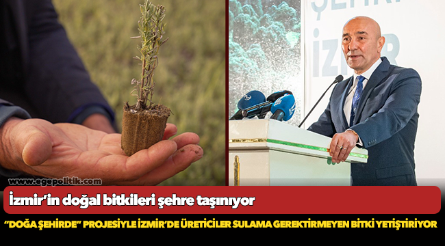 “Doğa Şehirde” projesiyle İzmir’de üreticiler sulama gerektirmeyen bitki yetiştiriyor