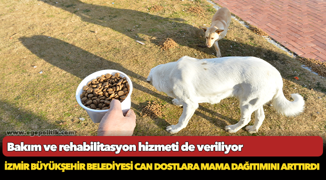 İzmir Büyükşehir Belediyesi can dostlara mama dağıtımını arttırdı