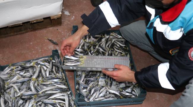 İzmir’de Boy Ve Zaman Yasaklarına Uygun Olmadan Yakalanmış Yaklaşık 8 Ton Balığa El Kondu