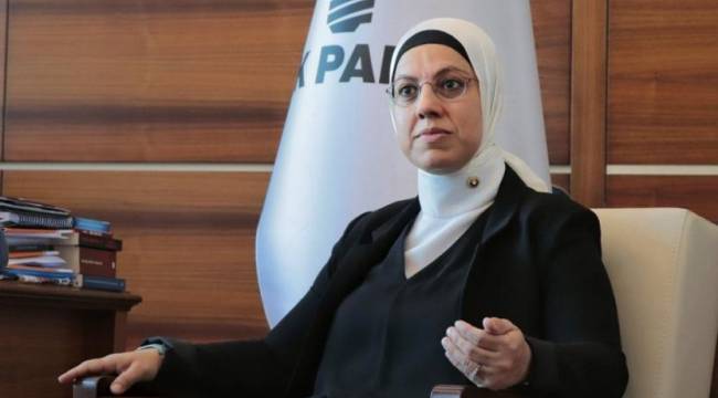 Kavakçı kardeşler, İBB bursuyla yazdıkları tezde Atatürk'e hakaret etti