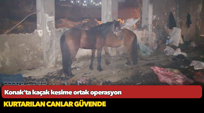 Konak’ta kaçak kesime  Ortak operasyon