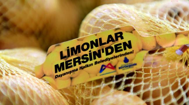 Limonlar dalda kalmadı, Dört büyükşehir için Mersin'den yola çıktı