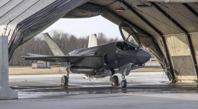 Litvanya: ABD'nin gönderdiği ek askeri birlikler konuşlanıyor