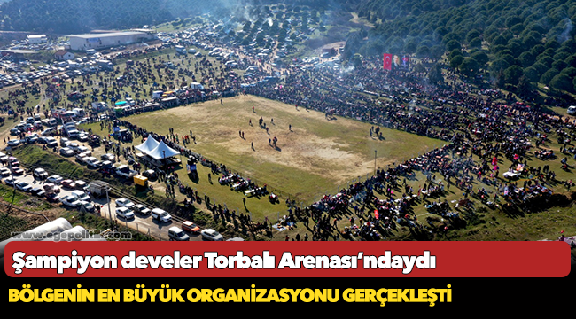 Şampiyon develer Torbalı Arenası’ndaydı