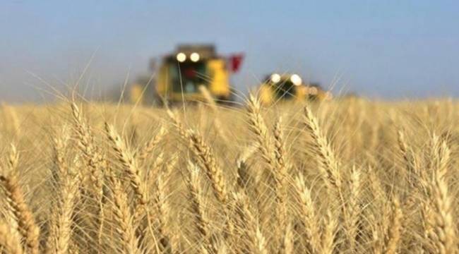 Tarımda üretici fiyatları son 11 yılın zirvesinde