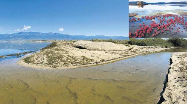 Türkiye kuruyor: Üç Van gölü kayboldu