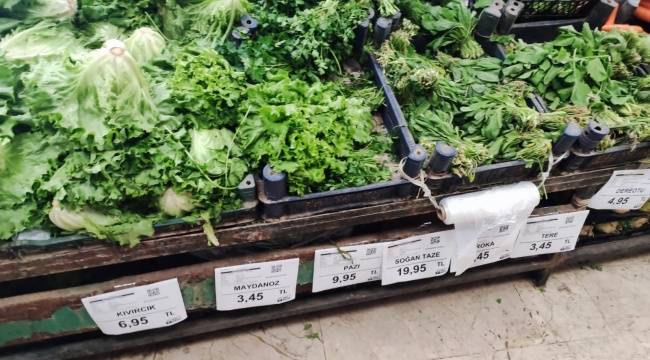 Yeşillik fiyatlarında artış sürüyor