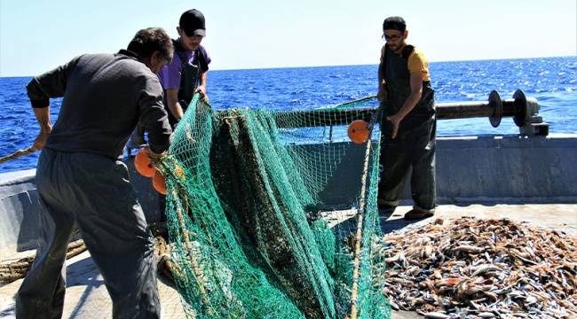 Balık avı yasağı yarın başlıyor