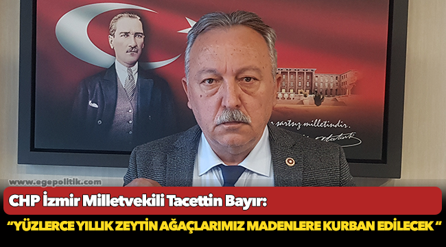 Bayır, "Yüzlerce yıllık zeytin ağaçlarımız madenlere kurban edilecek"