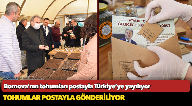 Bornova’nın tohumları postayla Türkiye’ye yayılıyor