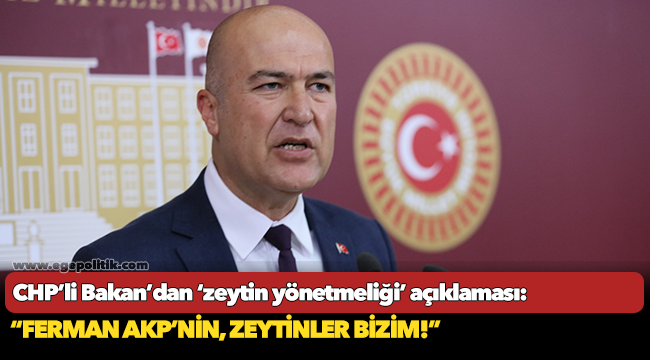 CHP’li Bakan’dan ‘zeytin yönetmeliği’ açıklaması:  “Ferman AKP’nin, zeytinler bizim!”