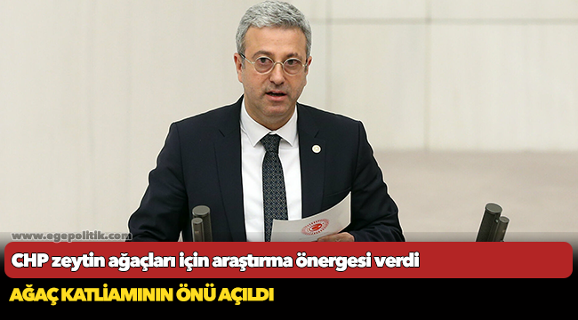 CHP zeytin ağaçları için araştırma önergesi verdi