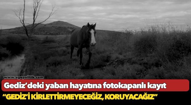 Gediz’deki yaban hayatına fotokapanlı kayıt