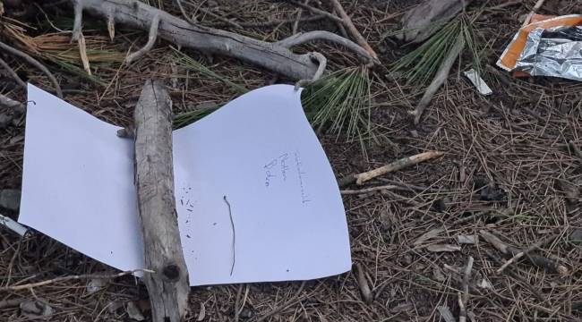 İki lise öğrencisi 'Telefonlarımızdaki notlara bakın' yazıp intihar etti