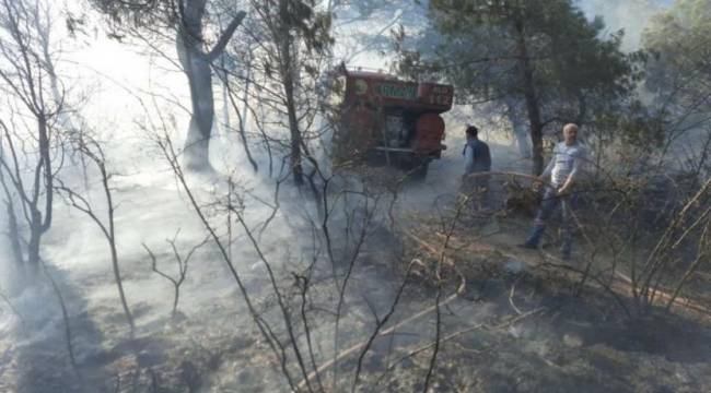 Manisa Soma'da orman yangını