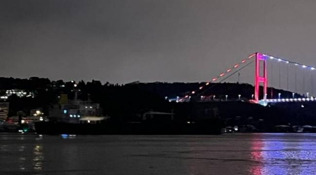 Rusya’dan gelen ayçiçeği yağı yüklü gemi İstanbul Boğazı’na ulaştı