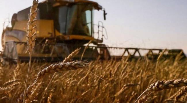 Rusya'dan tahıl ihracatına yasak hazırlığı