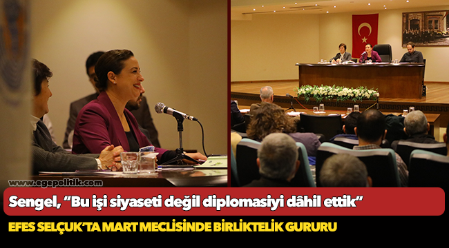 Sengel; “Bu işi siyaseti değil diplomasiyi dâhil ettik"