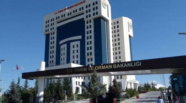 Tarım ve Orman Bakanlığı'nda 'FETÖ' gözaltısı