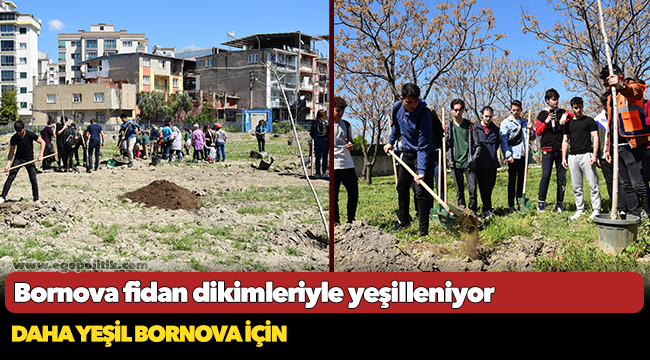 Bornova fidan dikimleriyle yeşilleniyor
