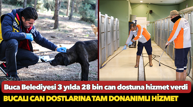 Buca Belediyesi 3 yılda 28 bin can dostuna hizmet verdi