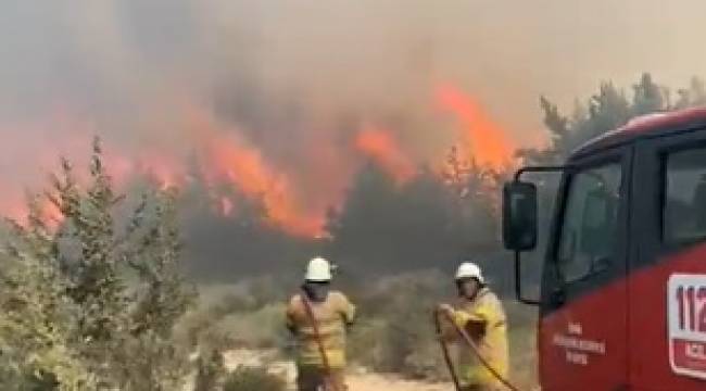 Çeşme'de orman yangını çıktı
