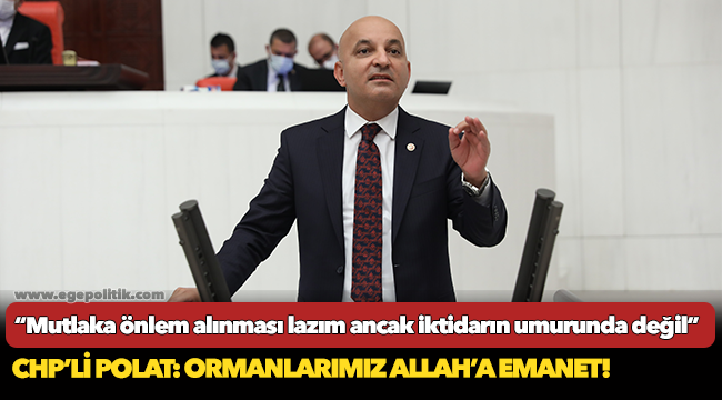 CHP’li Polat: Ormanlarımız Allah’a emanet!