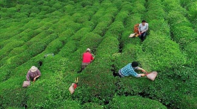 CHP’nin çay önerisi Meclis'te reddedildi