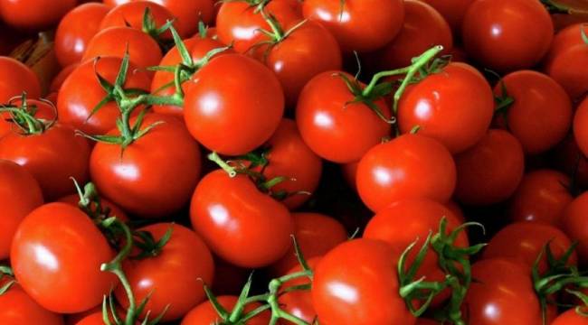 Domates fiyatında son 7 yılın rekoru