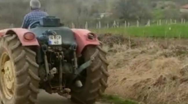 Hamile köpeği silahla vurup öldürdü, traktörün arkasında sürükledi: Serbest bıraktılar!