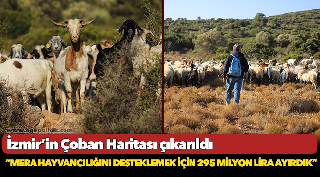 İzmir’in Çoban Haritası çıkarıldı