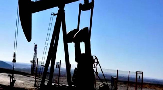 Sakarya Gaz Sahası projesine 145.1 milyar TL devlet desteği